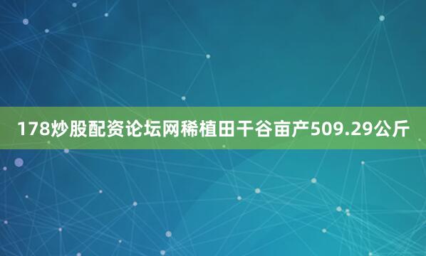 178炒股配资论坛网稀植田干谷亩产509.29公斤
